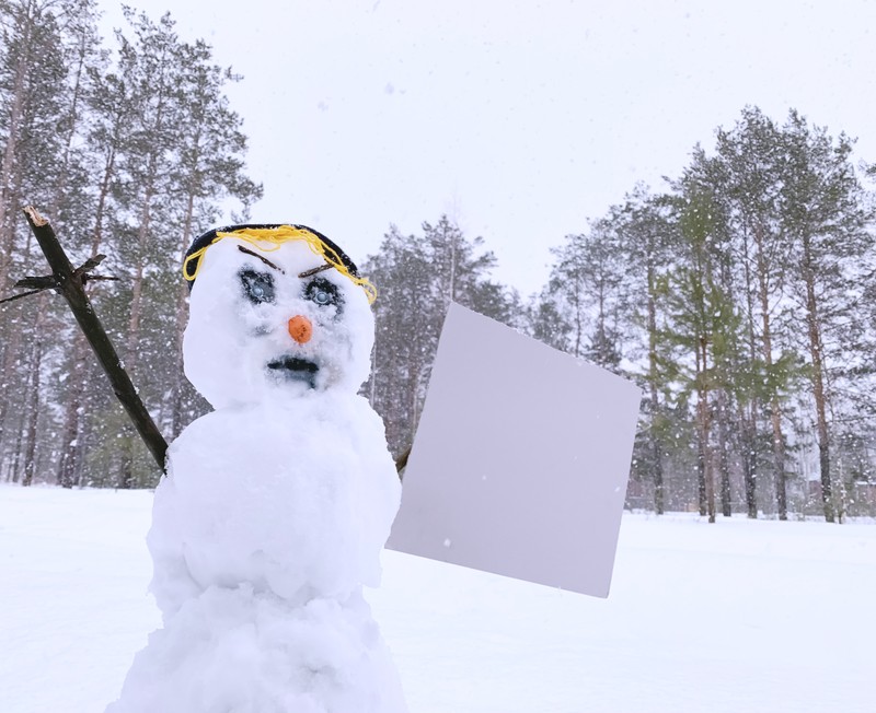 Die Polizei zeigte den Schneemann der AfD an.