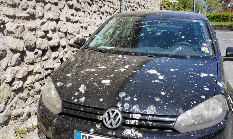 So oft solltest du dein Auto waschen.