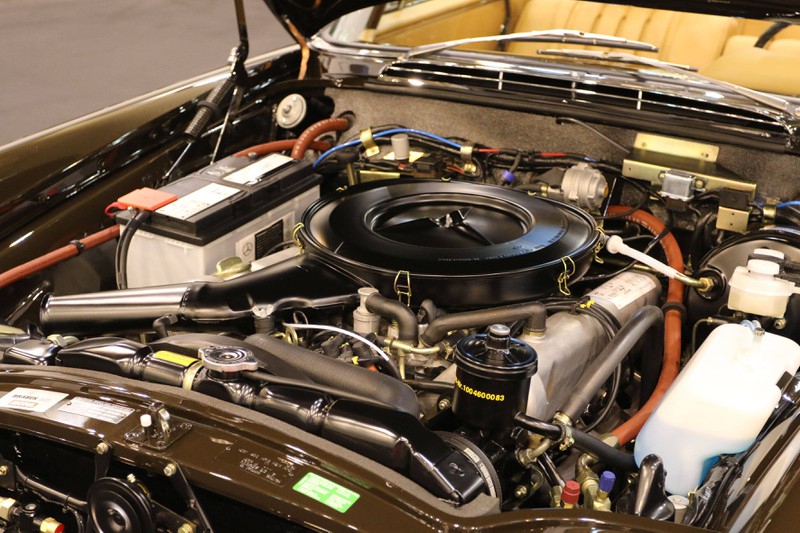 Es gibt jede Menge merkwürdige und verrückte Rennsportarten auf der Welt.