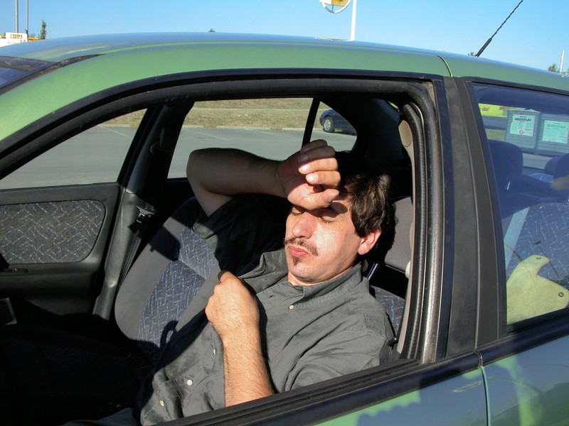 Die Hitze im Auto zu unterschätzen ist ein gefährlicher Fehler.