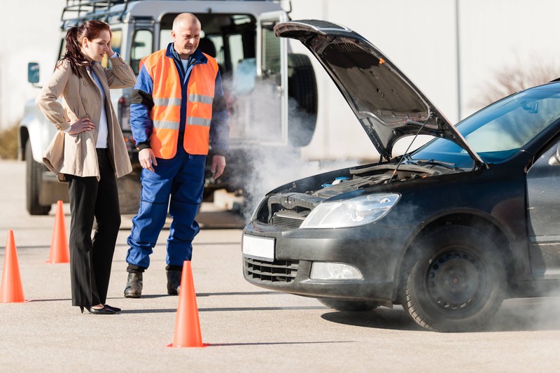 Nicht nur der Innenraum, sondern auch der Motor sollte nicht zu starker Hitze ausgesetzt werden.