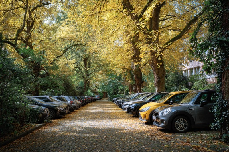Herbstlaub birgt Risiken für Autos.