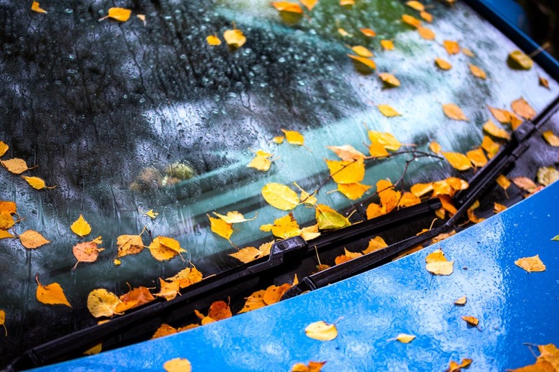 Herbstlaub kann schnell unter die Motorhaube gelangen.