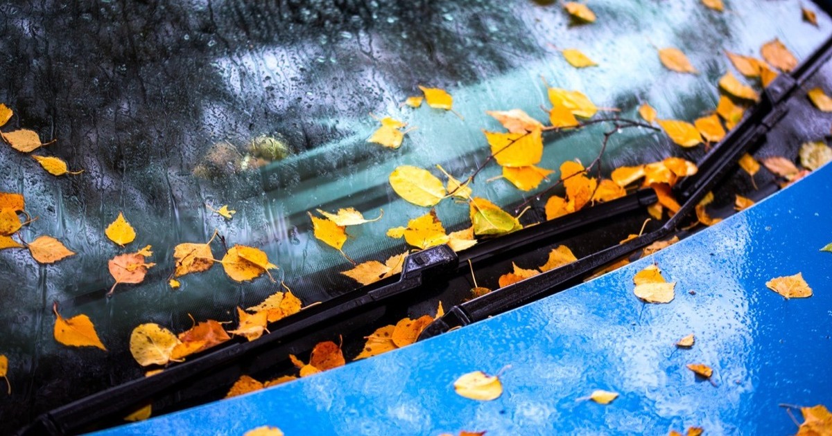 Herbstlaub am Auto: Diese Schäden unterschätzt jeder