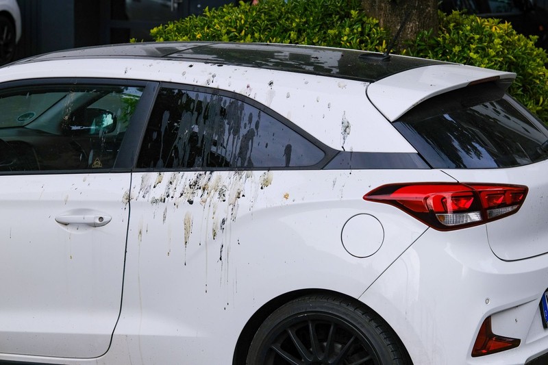 Vogelkot schadet vor allem dem Lack des Autos.