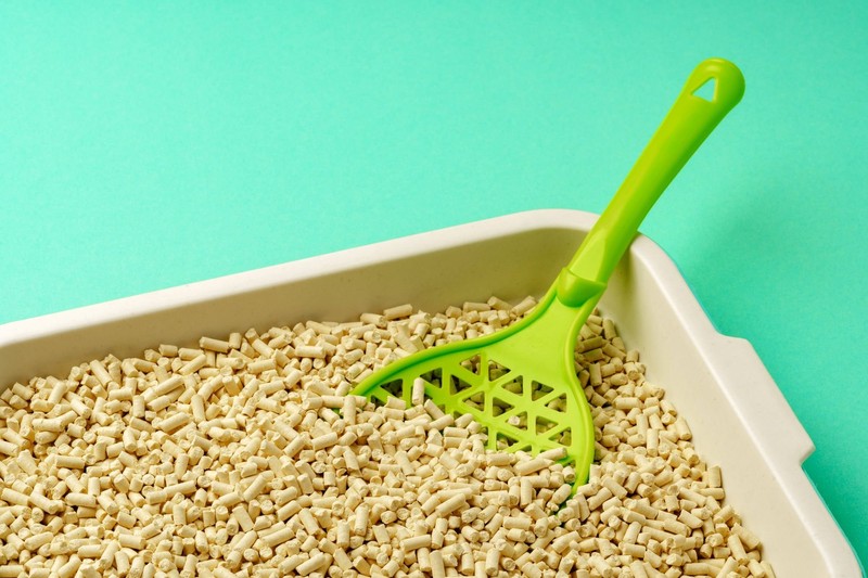 Katzenstreu soll angeblich gegen beschlagene Autoscheiben helfen.