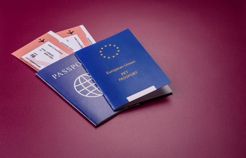 Neue Regeln zum Reisen mit Tieren innerhalb der EU.