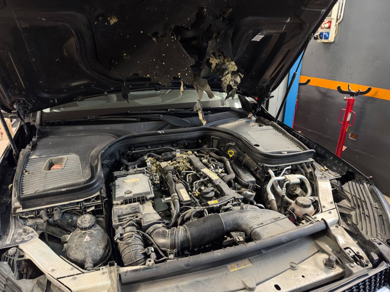 Den Motor solltest du nach einem Kaltstart nicht direkt nach oben jagen.