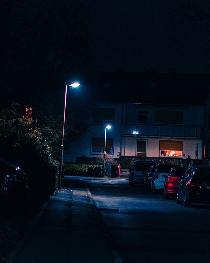 Es ist sinnvoll, dass man sein Auto in die Nähe von Straßenlaternen parkt, um Marder fernzuhalten.